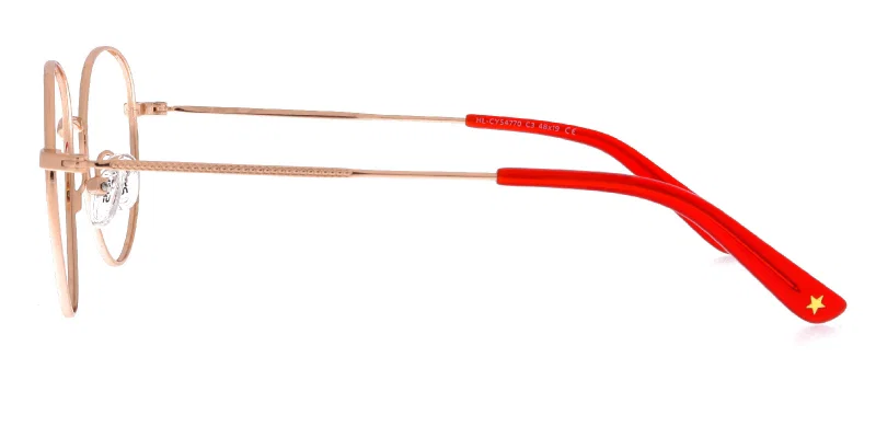Detaliu rame metalice HL CYS 4770 c3 Success cu montură integrală