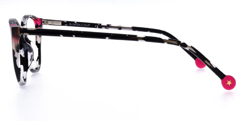 Detaliu rame BLS 4754 c1 Success din plastic