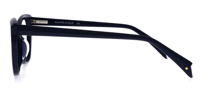 Detaliu rame BLS 4755 c2 Success pentru copii