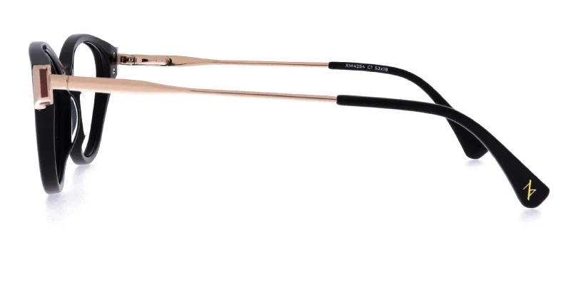 Ochelari Moonlight XM 4254 c1 cu ramă completă din plastic