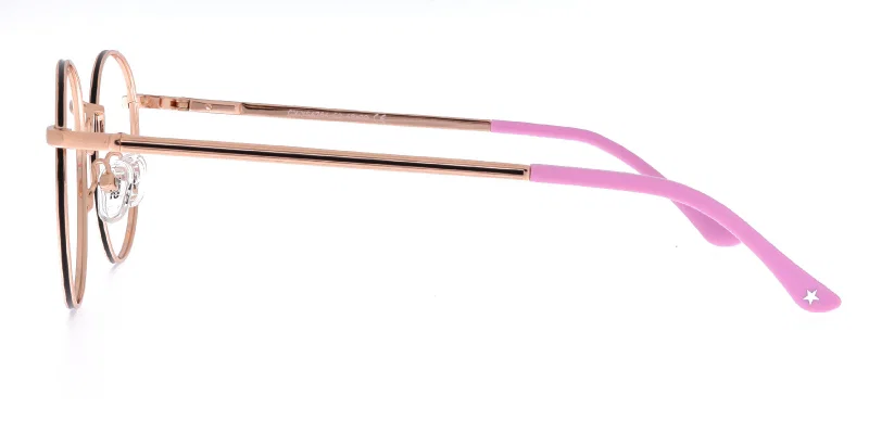 Detaliu ramă completă metalică YS 4764 c2 Success