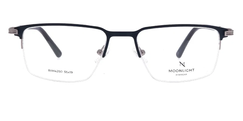 Vedere frontală a ramei metalice BIM 4250 c3 Moonlight