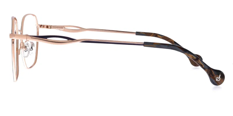 Detaliu rame metalice CHST 4662 c3 Sonata, varianta auriu-gri