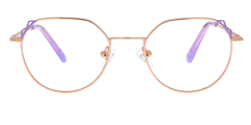 Vedere frontală ramă metalică full rim RS 4786 c1 Success