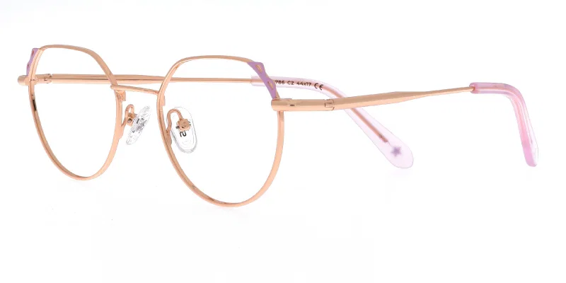 Ramă de ochelari copii RS 4786 c2 Success în culori gold și rose, vedere frontală