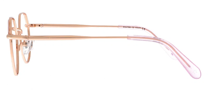Detaliu ramă ochelari copii RS 4786 c2 Success gold și rose