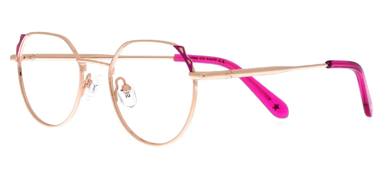 Rama de ochelari pentru copii RS 4786 c3 Success, auriu și roz, vedere frontală