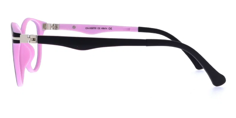Detaliu rame CN XS 5751 c2 Success din plastic