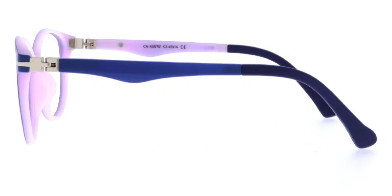 Detaliu rame CN XS 5751 c3 Success din plastic, în culorile bleumarin și roz