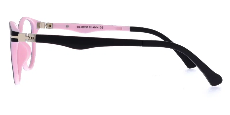 Detaliu ramă plastic EO XS 5753 c2 Success