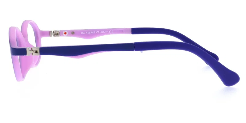 Model DA XS 5742 c2 Success cu ramă completă din plastic, bleumarin și violet