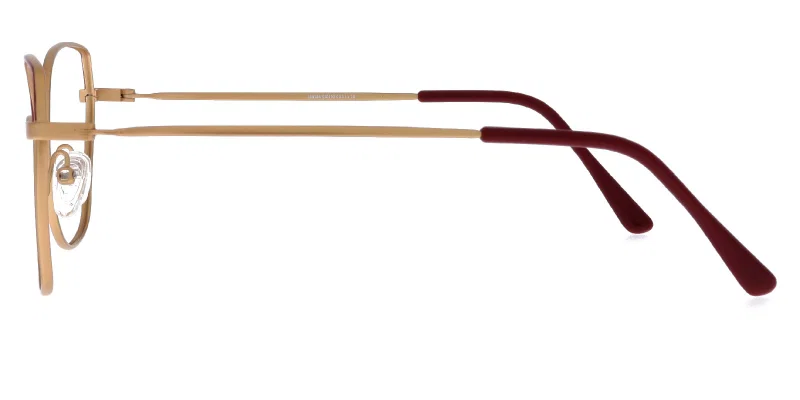 Detaliu ramă completă metalică ST 0103 c3 Sonata