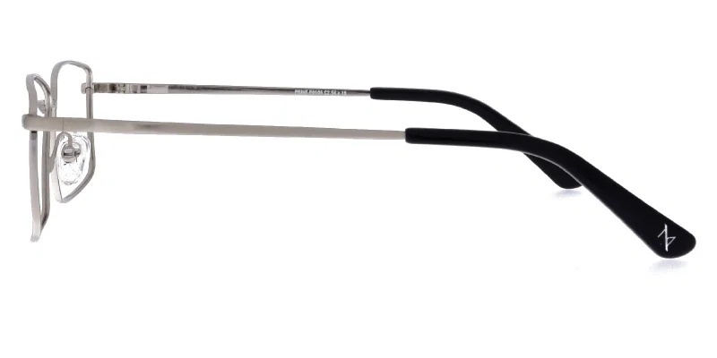 Detaliu rame metalice P 0106 c2 Sonata