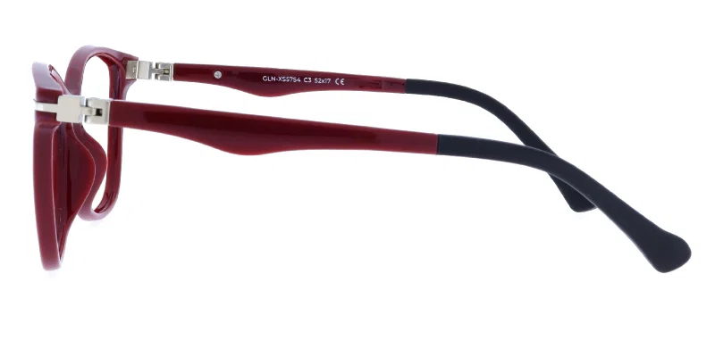 Detaliu rame maro din plastic GLN XS 5754 c3 Success