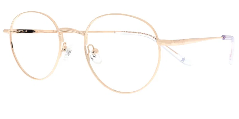 Rame de ochelari pentru copii HA MGS 5774 c2 Success, aurii