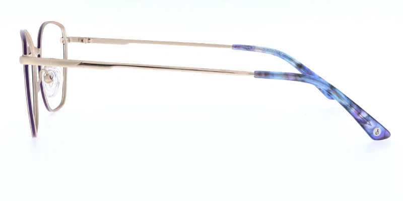 Detaliu ramă metalică BIST 4628 c2 Sonata