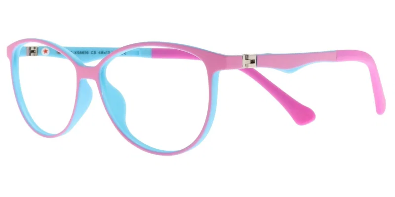 Rama pentru copii BJ XS 6616 c5 Success în culorile blue și rose