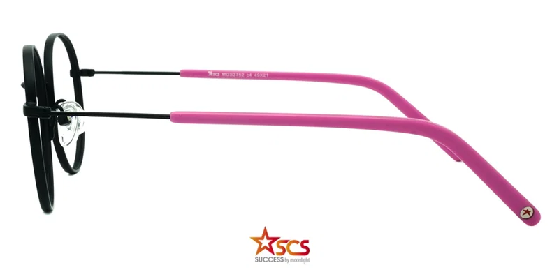 Detaliu lateral al ramei MGS 3752 c4 Success