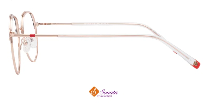 Detaliu lateral al ramei GLST 3663 c3 Sonata