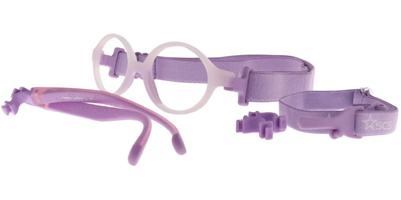 Detaliu rame violet JZ JO 6749 c3 Success